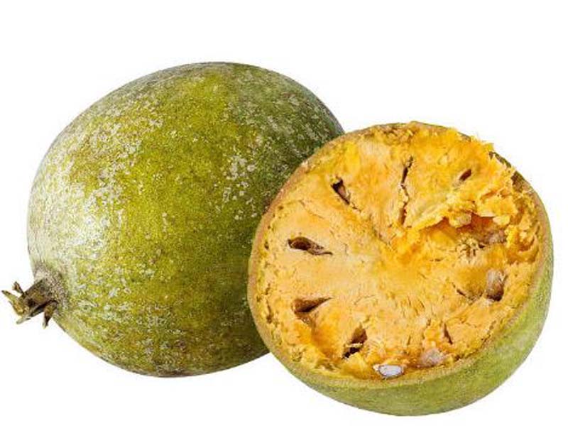 Wood Apple / Bel BGD
